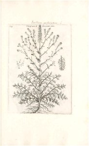 n552_w1150