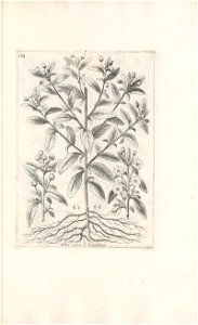 n522_w1150