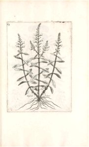 n432_w1150
