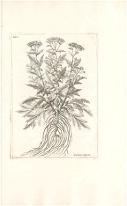 n578_w1150