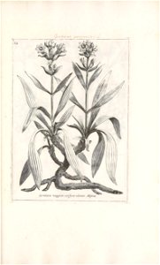n458_w1150