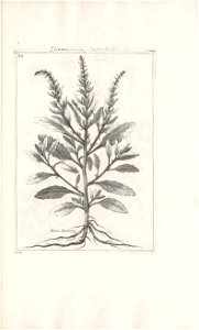n394_w1150