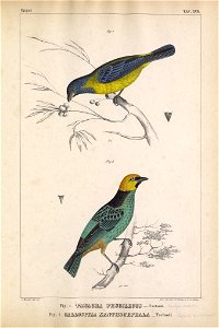 n808_w1150