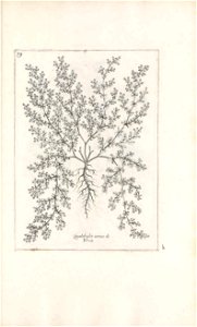 n452_w1150