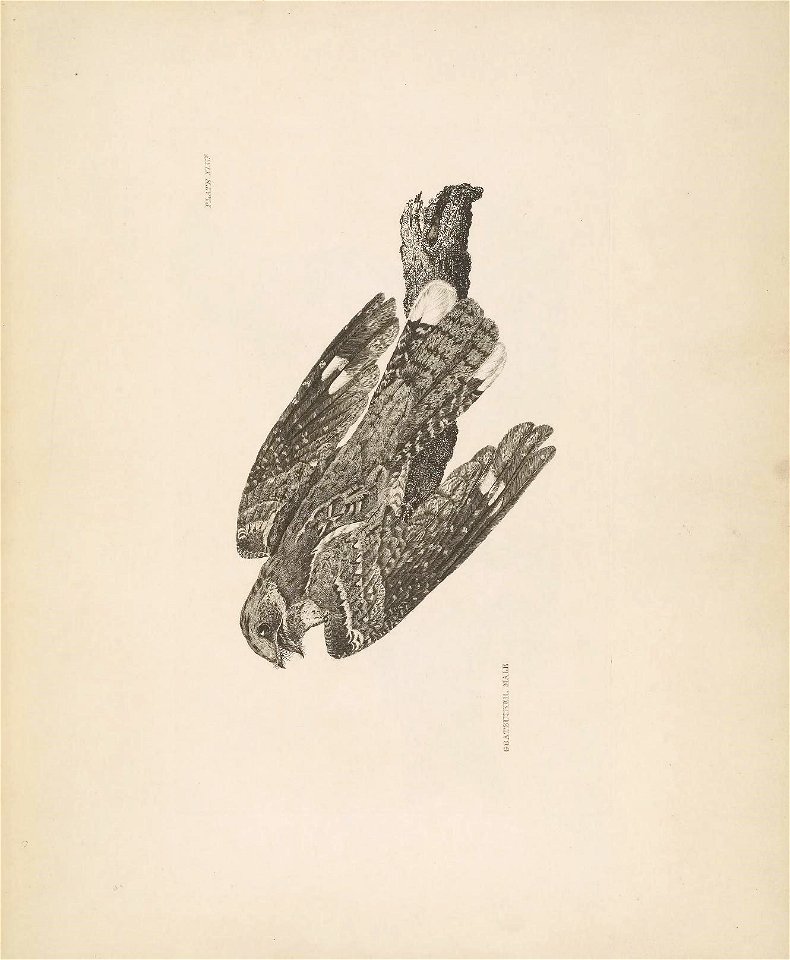 n58_w1150