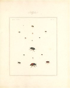 n120_w1150