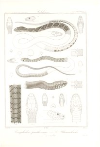 n114_w1150