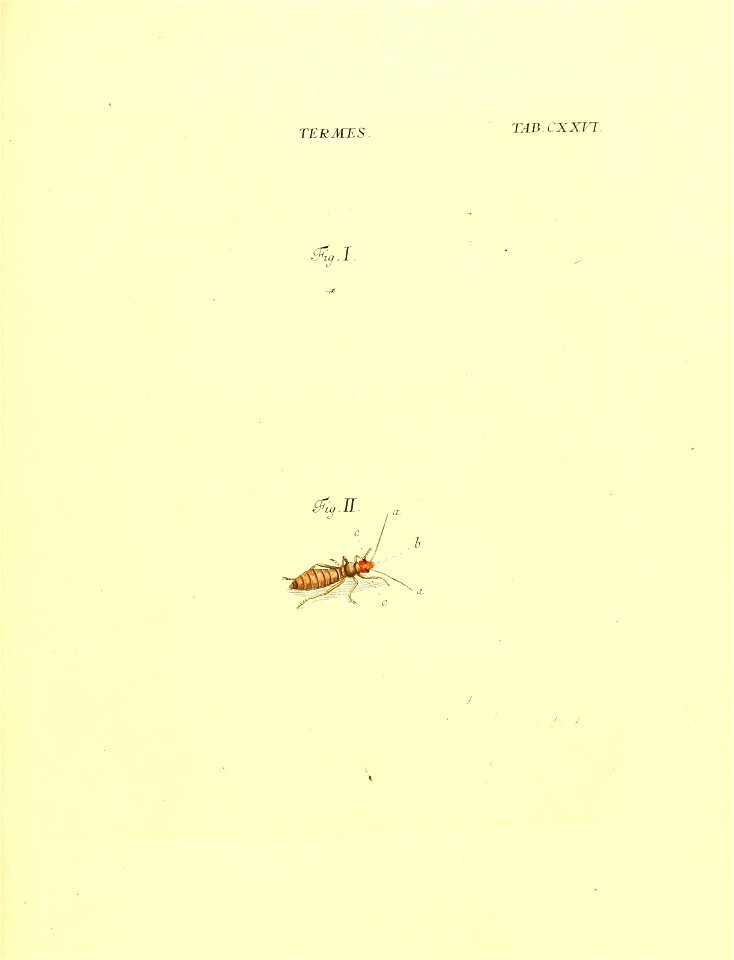 n290_w1150