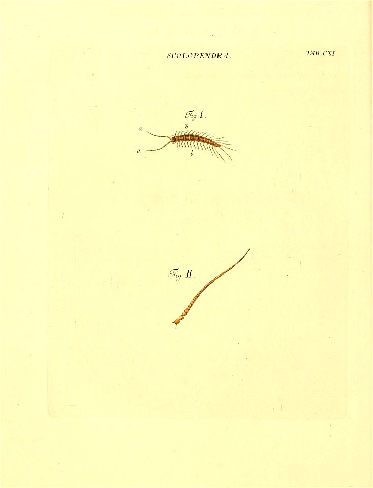 n259_w1150