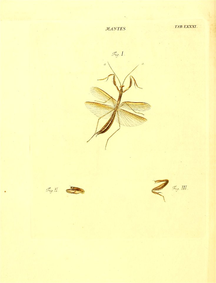 n199_w1150