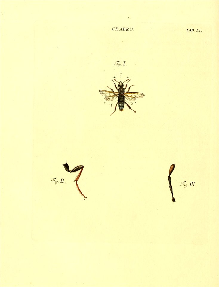 n139_w1150