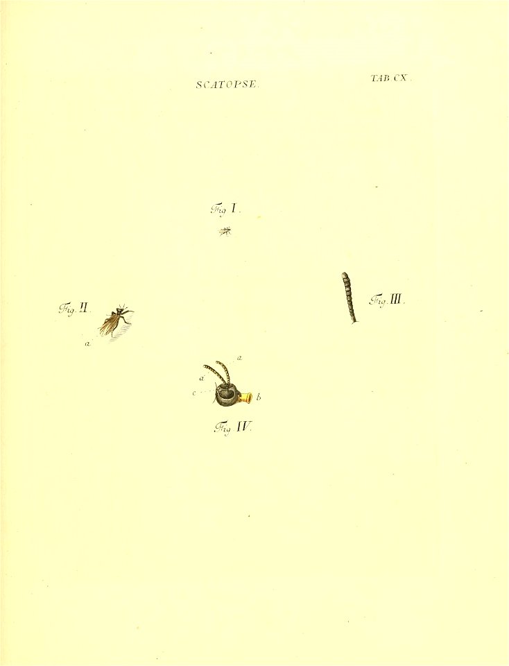 n258_w1150