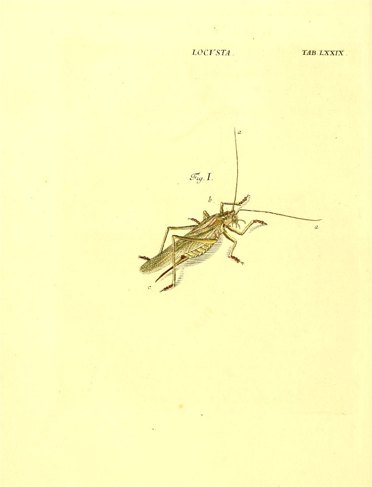 n195_w1150