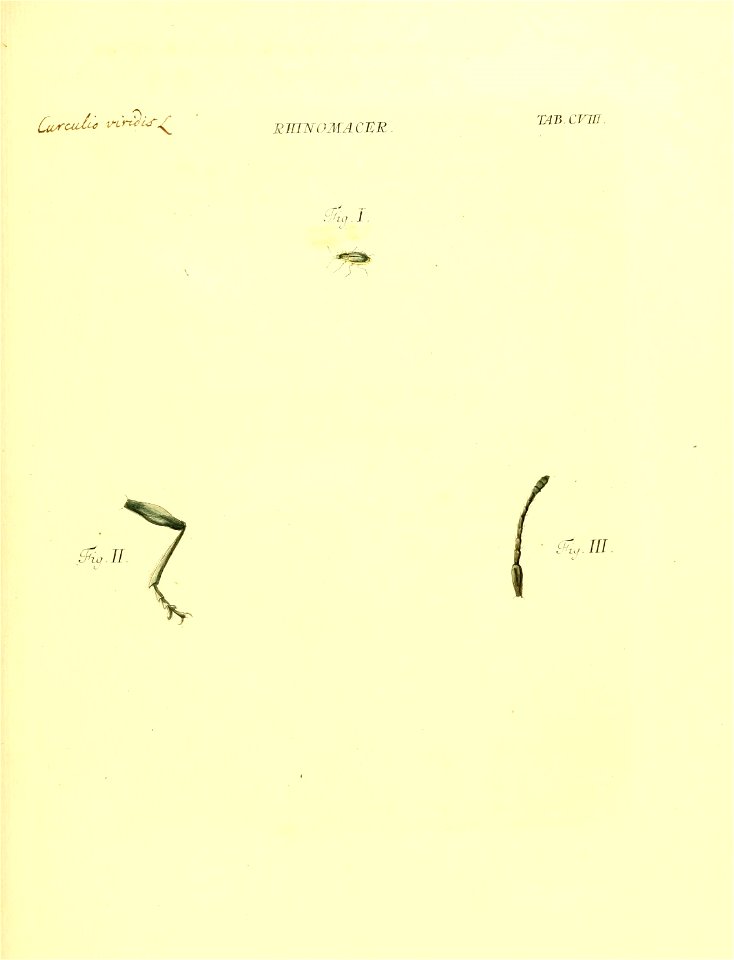 n254_w1150