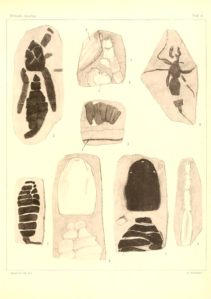 n112_w1150