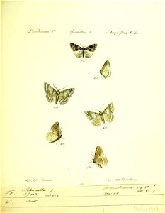 n190_w1150
