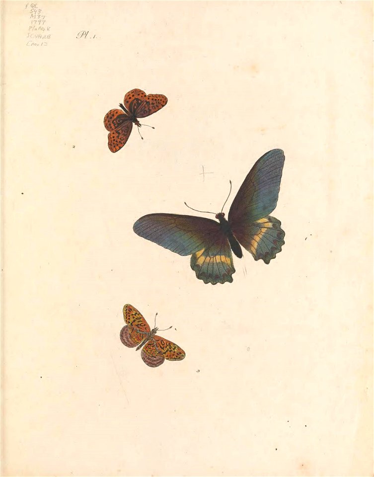n6_w1150