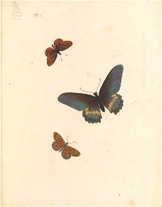 n6_w1150
