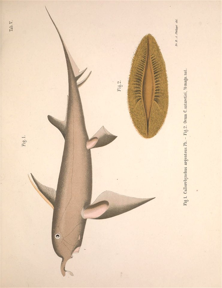 n36_w1150