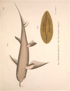 n36_w1150