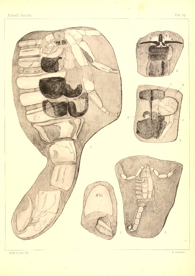 n136_w1150