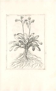 n598_w1150