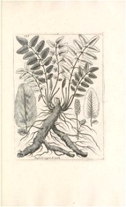 n568_w1150