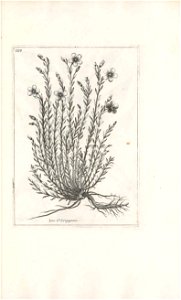 n508_w1150