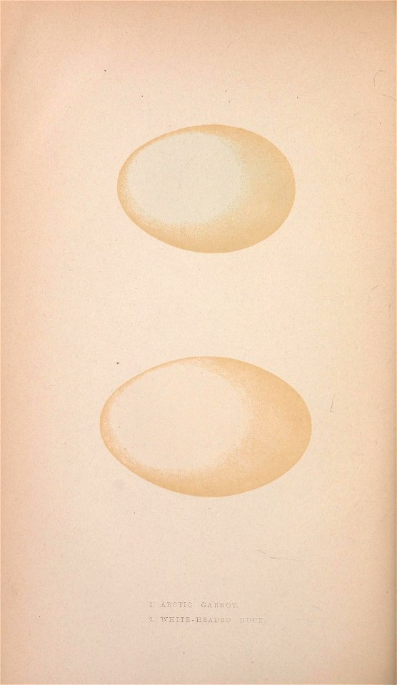 n259_w1150