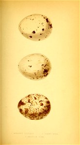 n160_w1150