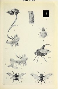 n1068_w1150