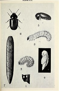 n414_w1150