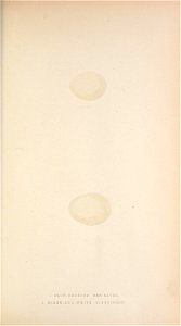 n256_w1150