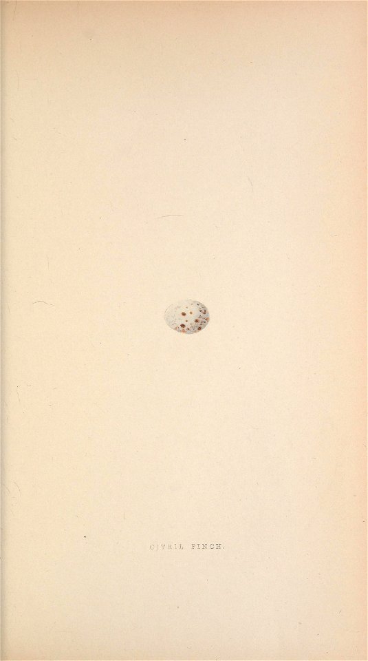 n168_w1150