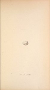 n168_w1150