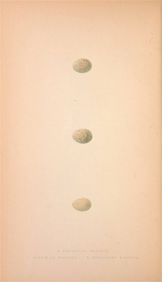 n61_w1150