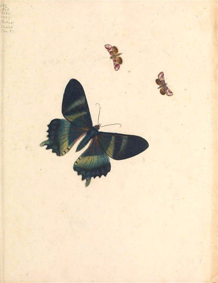 n14_w1150