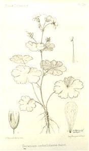 n268_w1150