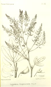 n281_w1150