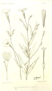 n266_w1150
