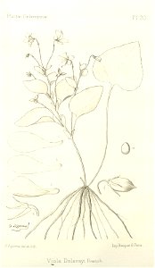 n263_w1150