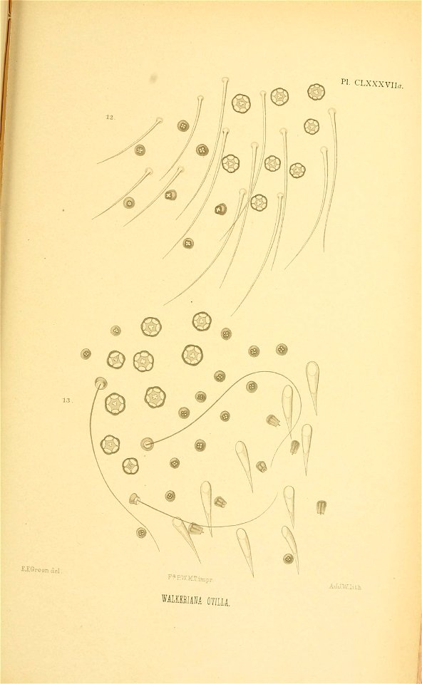 n384_w1150
