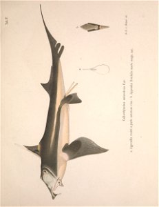 n34_w1150