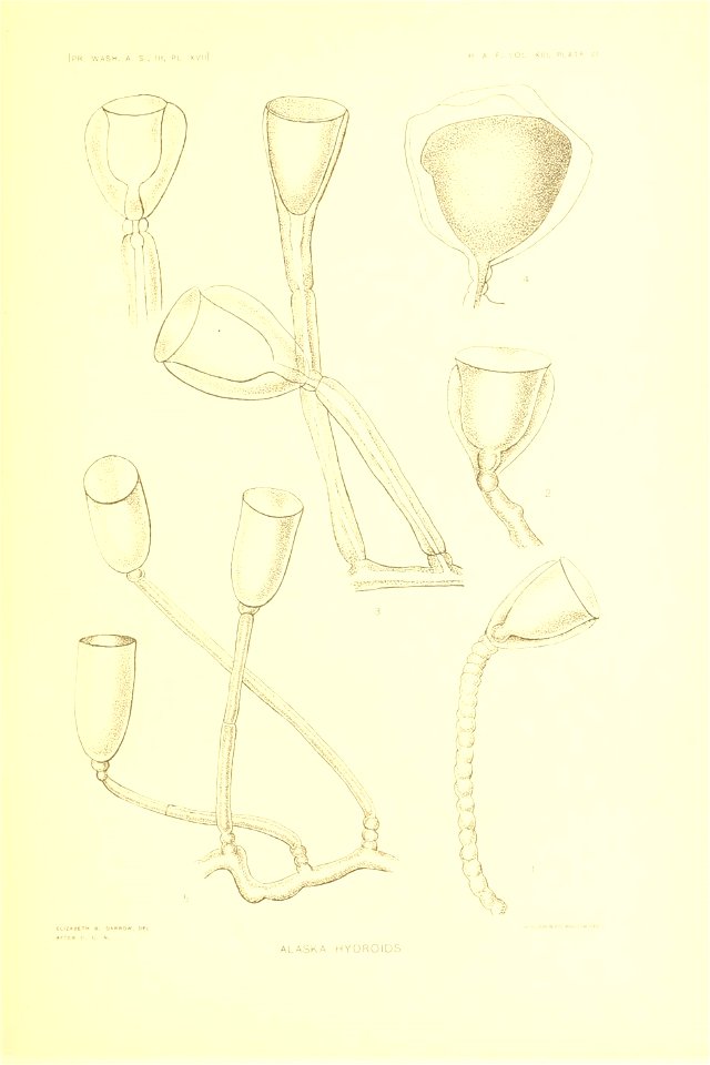n246_w1150