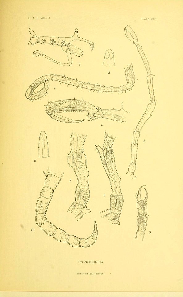 n394_w1150