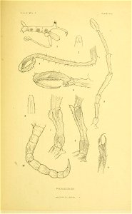 n394_w1150