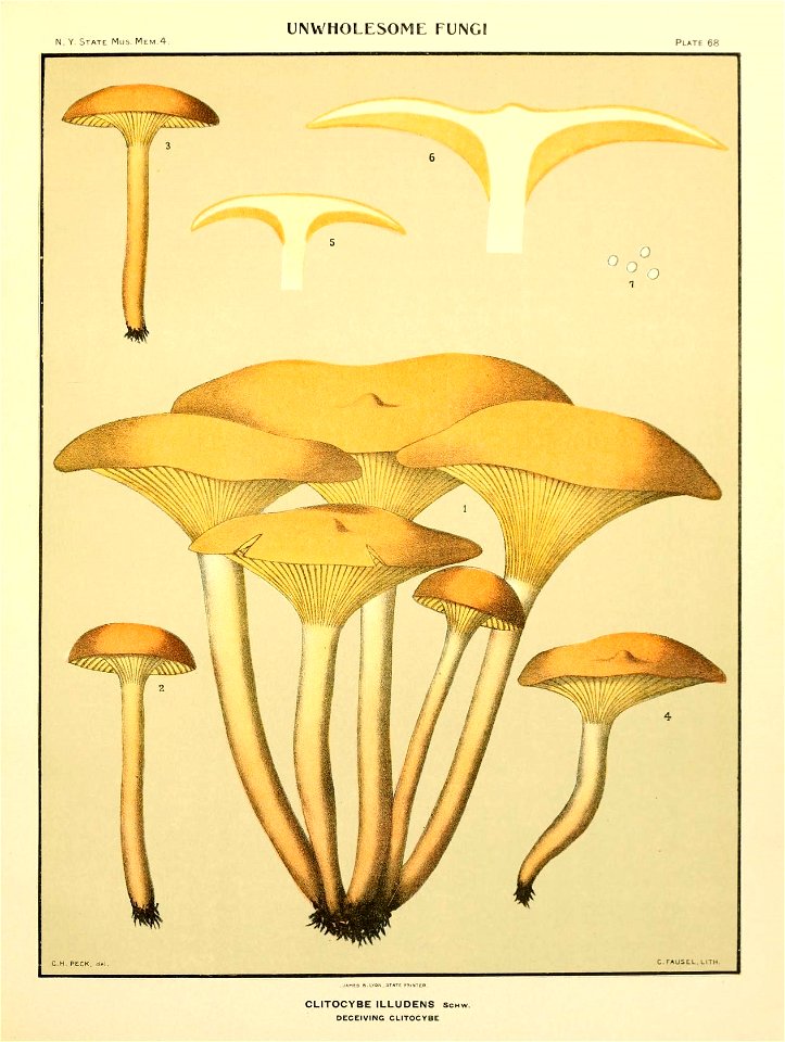 n156_w1150