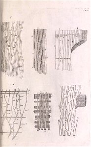 n134_w1150