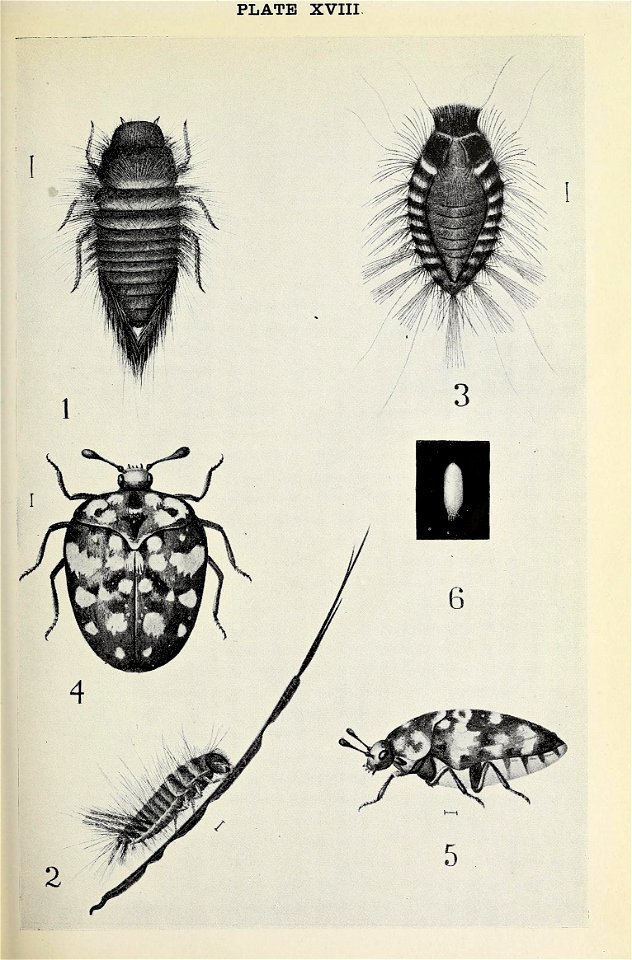 n402_w1150