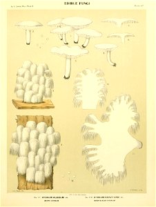 n152_w1150